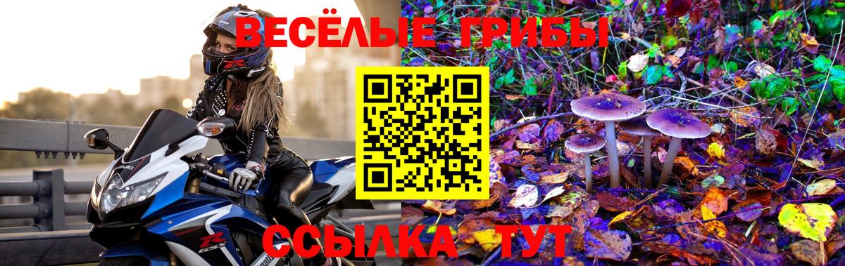 Шуя  Галлюциногенные грибы ЛСД  Вход с VPN  Галлюциногенные грибы Psilocybine cubensis 
